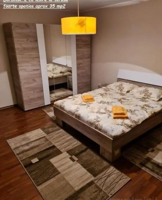 Apartament La Mircica Ap 1 Călimănești