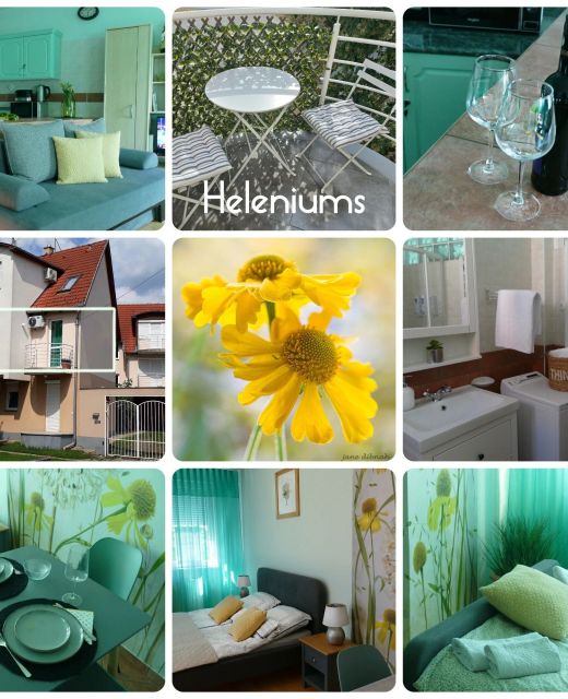 Heleniums Apartman Hajdúszoboszló
