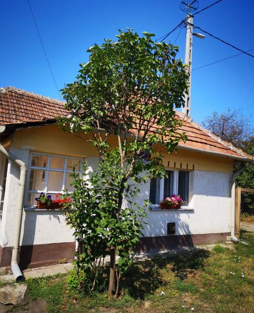 Búzavirág Vendégház Poroszló