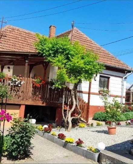 Casa Teonia Blaja