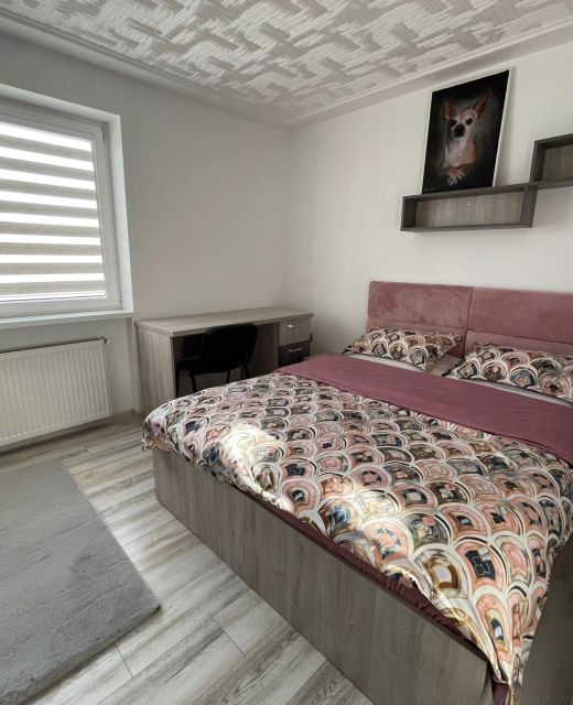 TEI Apartment Satu Mare