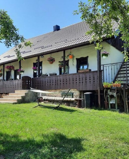 Casa Bunicilor Ciprian Porumbescu