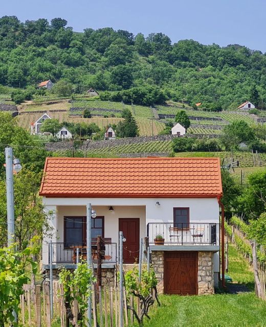 Jera Pince és Vendégház Somlóvásárhely