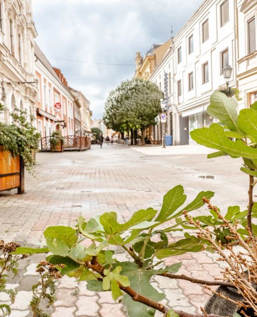 Király 40 Apartman Pécs