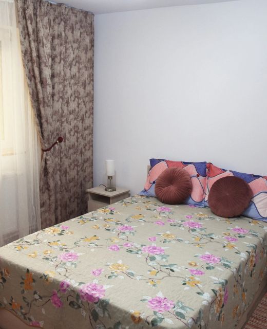 1st Apartment Nehoiu