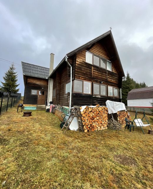 Cabana primitoare cu semineu Bălcești