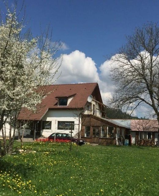 Casa de oaspeți Karácsony Izvorul Trotușului