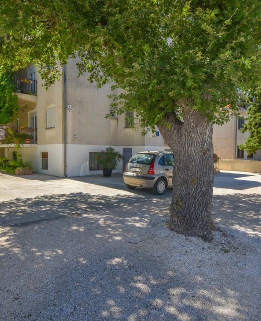 Rooms Oak Tree Biograd