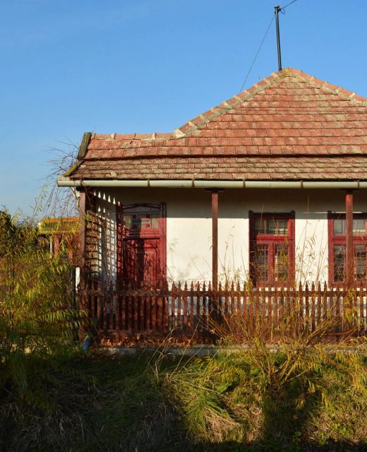 Tőkés Réce Élményporta Sarud