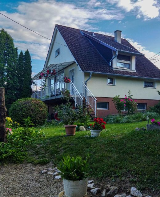 Naszály Kapuja Vendégház Kosd