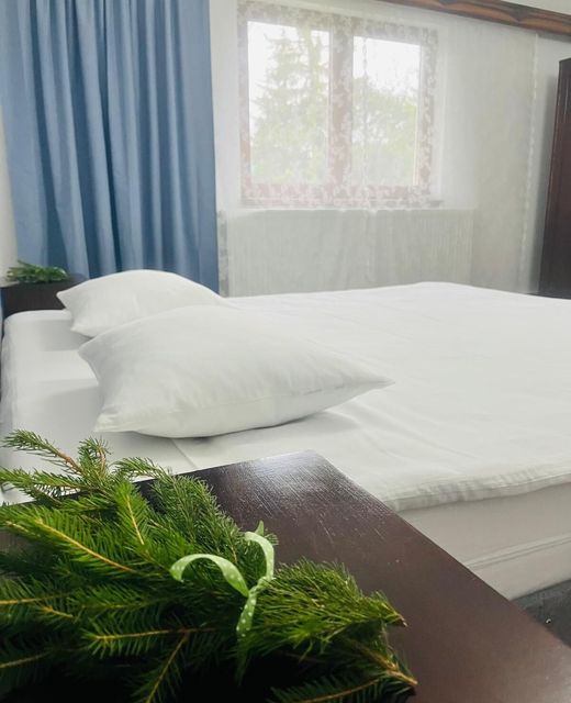 Pensiunea Guest House La TaTa Neagra Șarului