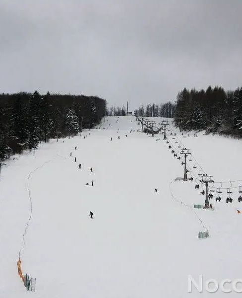 Villa Neve Ustrzyki Dolne