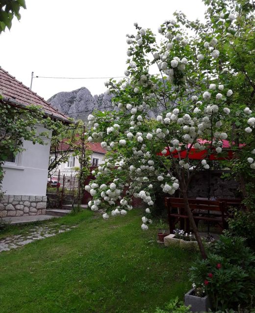 Casa Simon Rimetea