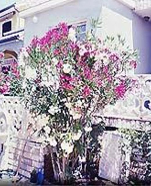 Apartmani Hotic Barbat