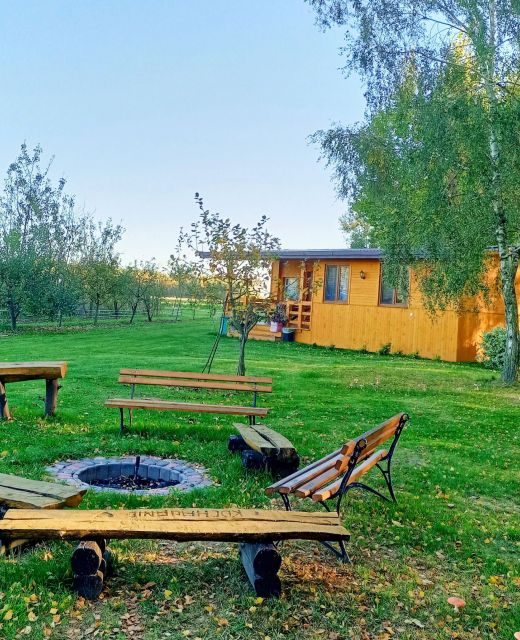 Brzozowy Gaj Orzechów Kolonia