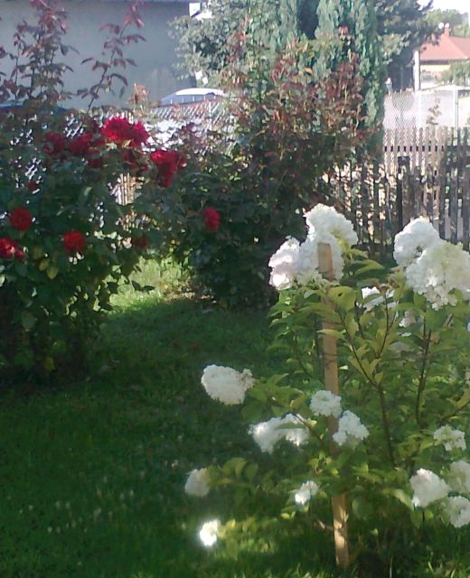 Smaragd Villa Balatonboglár