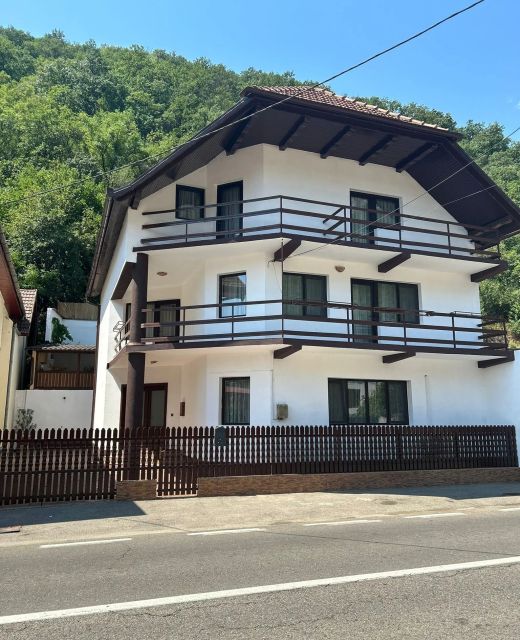 Casa Bașu Băile Herculane