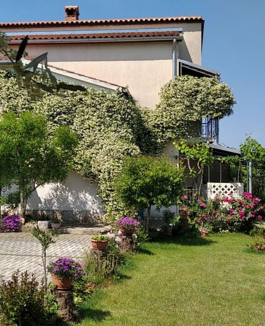 Apartments Bozac Porec