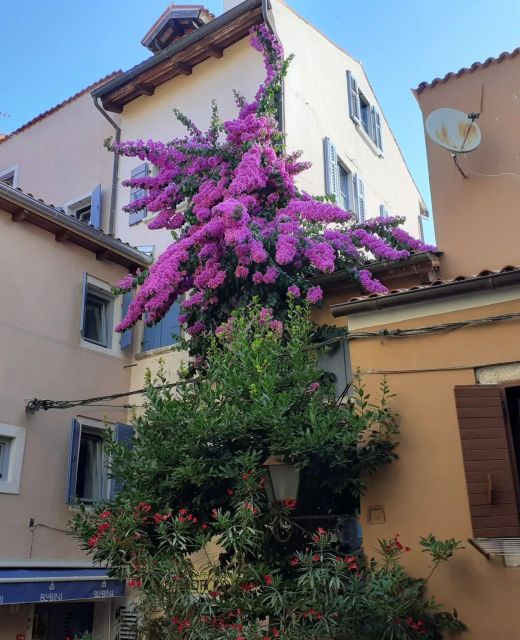Apartment Eufemia Old Town Rovinj