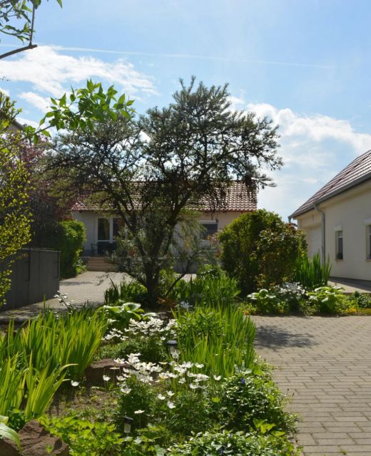 Csenár Apartman IV Hegykő