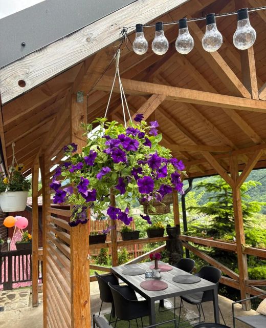 Chalet Husky Seciuri