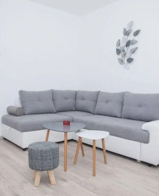 Apartments With Parking Space Delnice, Gorski Kotar - 20534 Delnice