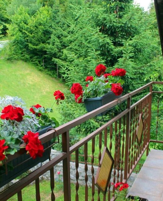 Holiday House With A Parking Space Sunger, Gorski Kotar - 20655 Sunger