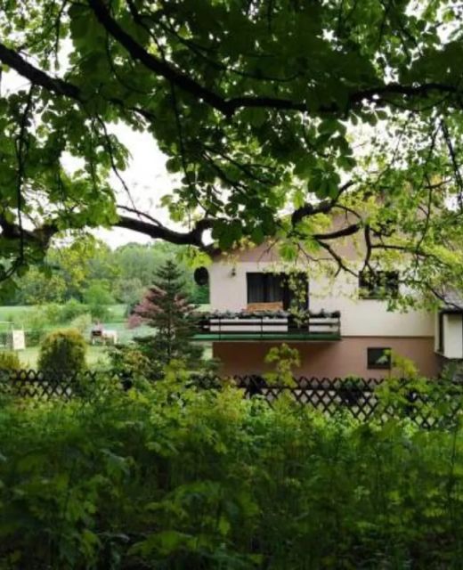 Dom Czar Lasu na Kaszubach - Grzybowski Młyn