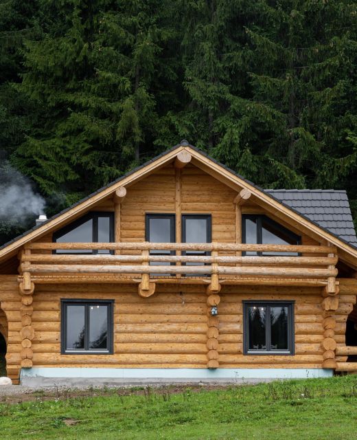 Cabana Ursul Negru Izvoare