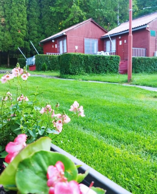 Mecsek Virágai Lak Apartman Magyarhertelend