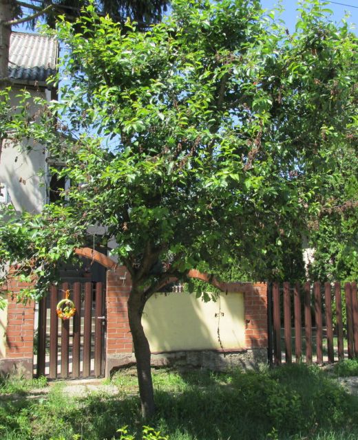 Mn Apartman Magyarnándor