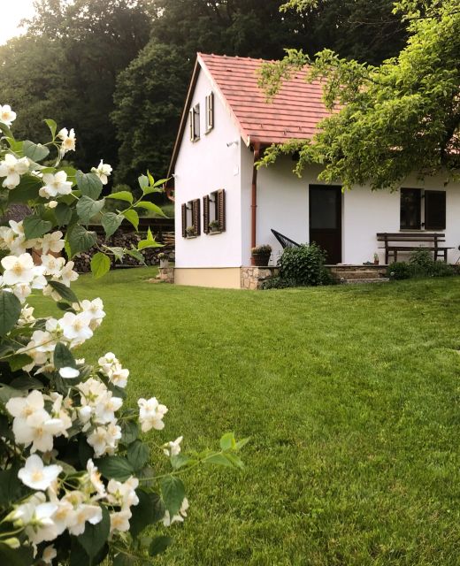 Tücsök Vendégház Óbánya