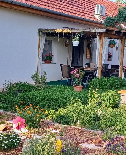 Százszorszép Vendégház Csongrád
