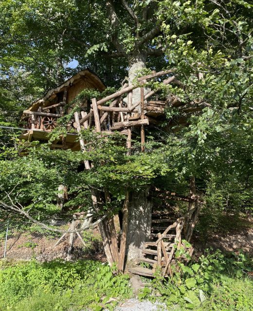 Casa pe copaci cu nouă roți Calonda
