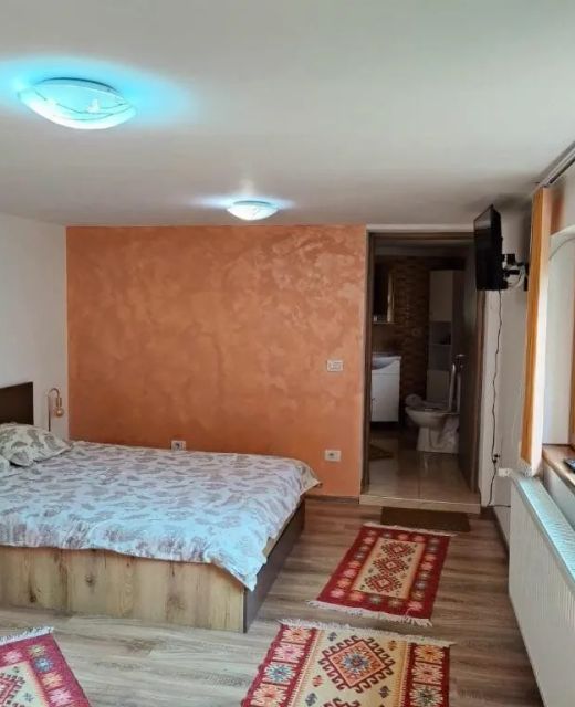 Casa Rustica Borșa