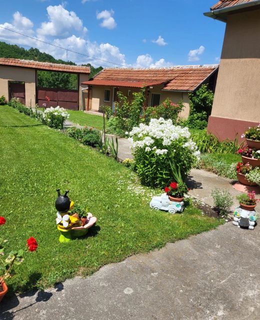 Pensiunea Izvorul Rece Hobița