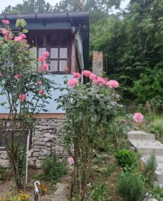 Cabana Elyana Mraconia Eșelnița
