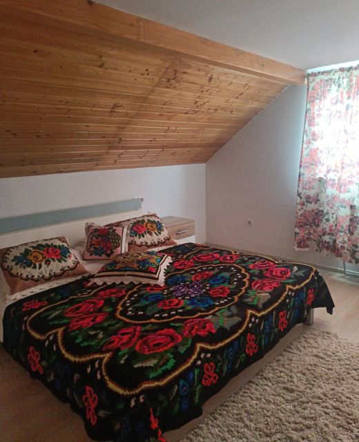 Casa Bizau Vișeu de Sus