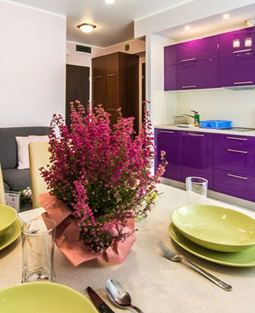 Apartament Wrzosowy - 5D Apartamenty Świeradów-Zdrój