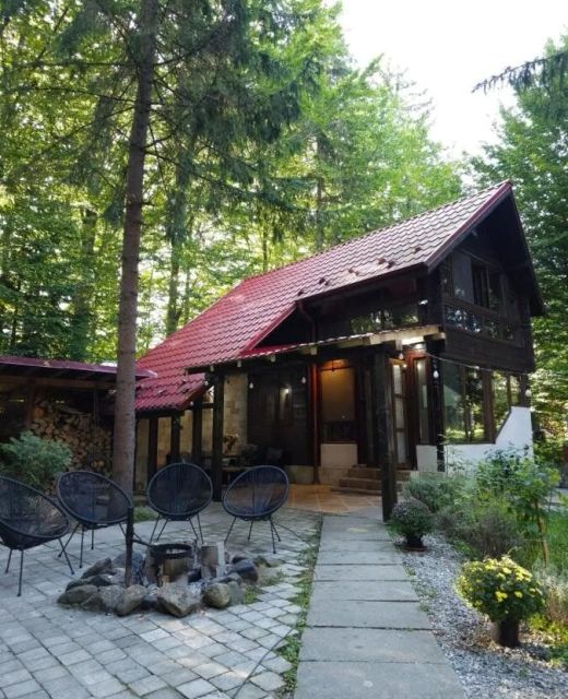 Misha's House Avrig