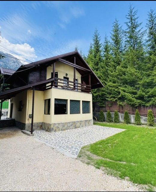 Casă de vacantă Ollie's Mountain Bușteni