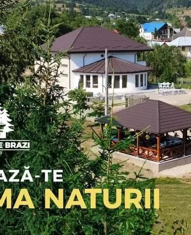 Casa Dintre Brazi Nemțișor