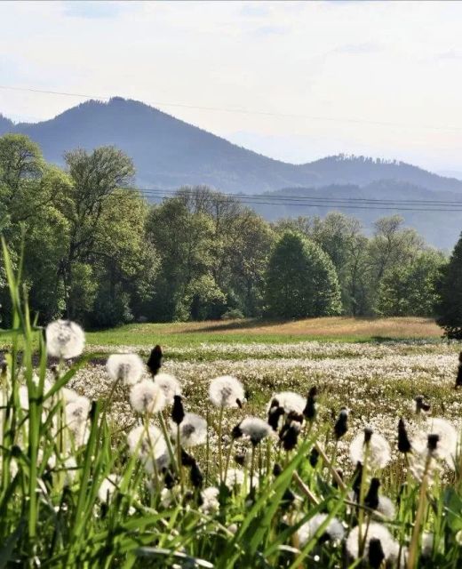 Domek Słoneczne Wzgórze Mniszków