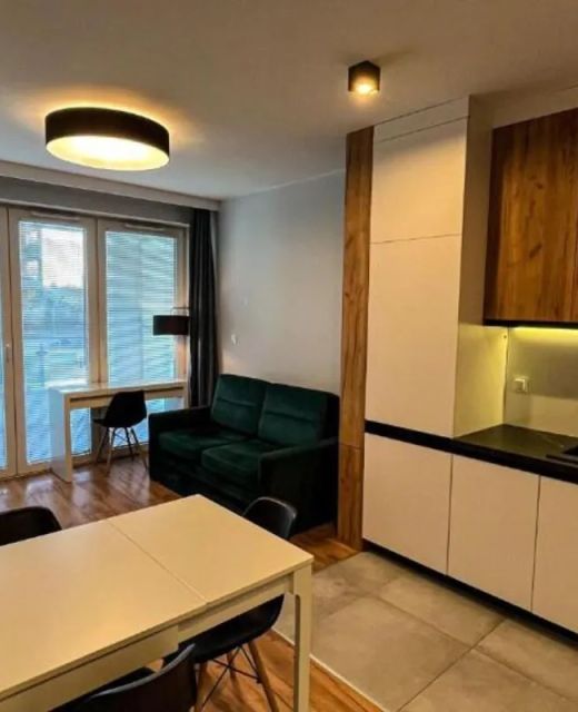 Apartament Lublin „Cyprus Cat”