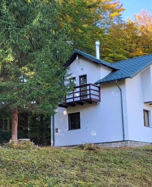 Cabana Cotul lui Epure Valea Doftanei***