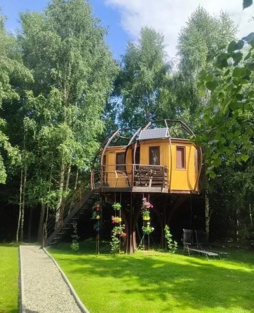 Piece of Heaven Treehouse Râșnov