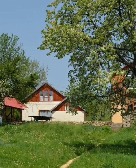 Camping Zamolxe Sarmizegetusa
