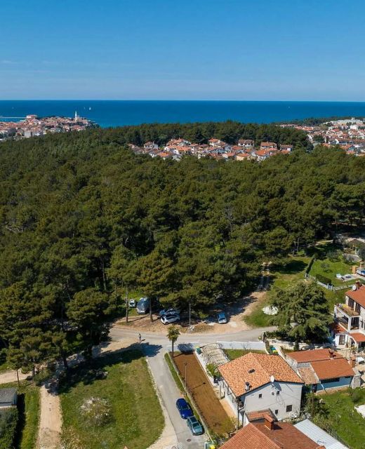 Apartman Poreč - Parenzo - CLT198