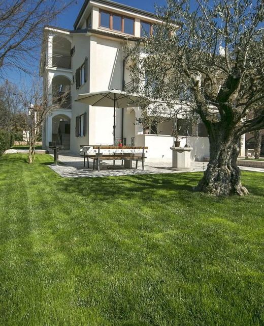 Apartman Poreč - Parenzo - CLS802