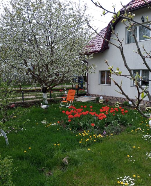Căsuța Bunicilor Dorna Candrenilor